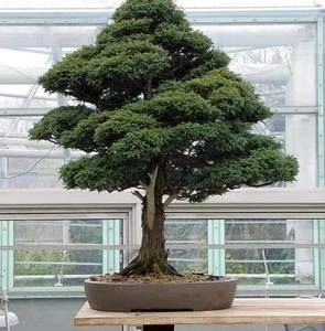 Meet your Posher, Jose